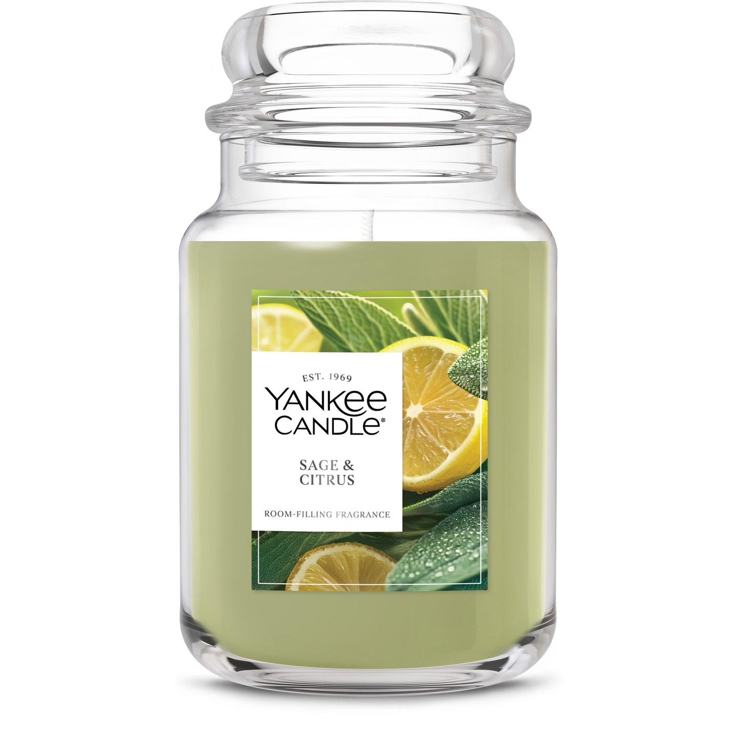 Sage & Citrus Wave 6-0335