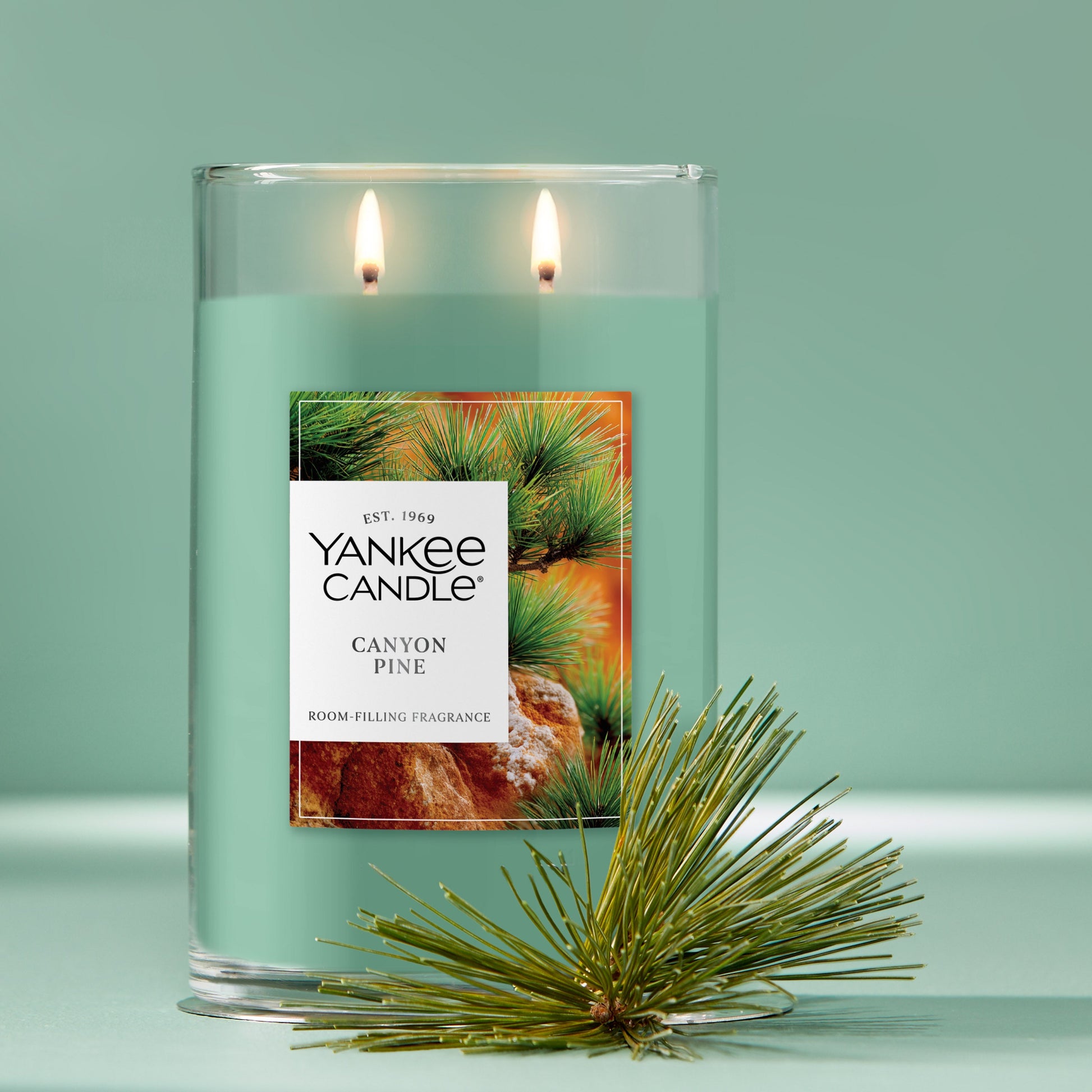 Canyon Pine
